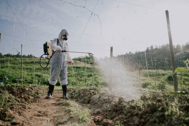 Best Mosquito Control Services  in Wesley Chapel, FL