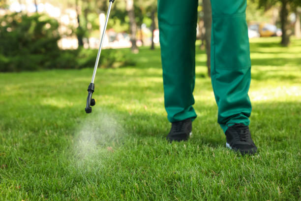 Best Bed Bug Extermination  in Wesley Chapel, FL
