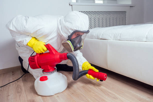 Best Local Pest Control Services  in Wesley Chapel, FL