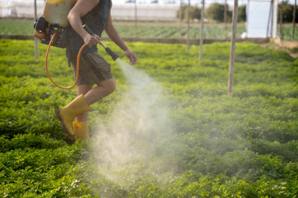 Best Pest Prevention Services  in Wesley Chapel, FL