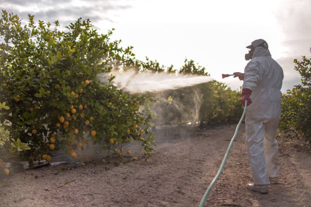 Reliable Wesley Chapel, FL Pest Control Solutions