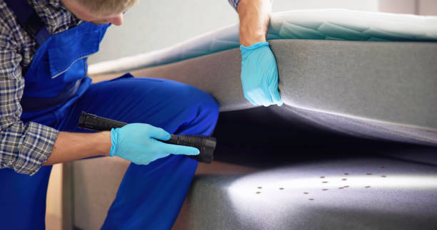 Best Wildlife Control Services  in Wesley Chapel, FL