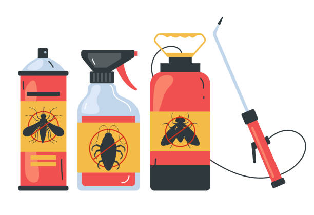 Best Termite Control Services  in Wesley Chapel, FL