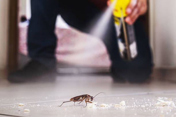 Best Exterminator Services  in Wesley Chapel, FL